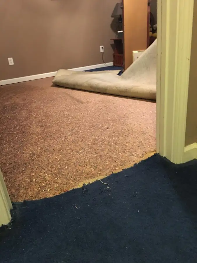Carpet pad removal revealing water damage during Water Mitigation Services in Reserve